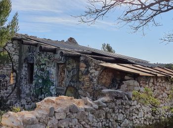 Excursión Senderismo Belcodène - Belcodene le Pigeonnier  - Photo