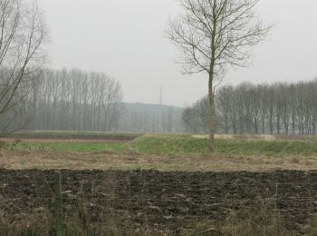 Percorso A piedi Scherpenheuvel-Zichem - Demerbroeken Rode driehoek - Photo