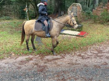Excursión Paseo ecuestre Badonviller - Yoigo uccello chapelotte poilus  - Photo