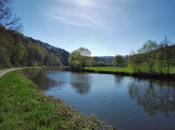 Randonnée Marche Thuin - Promenade au Bois des Waibes à Thuin - Photo