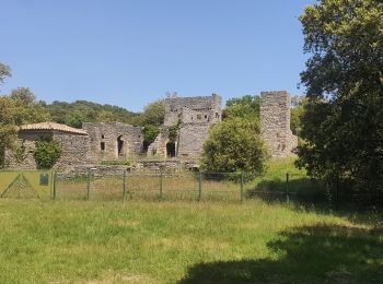 Randonnée Marche Lauret - Tour du Pic Saint Loup -  Et. 2 - Lauret - Saint Bauzille de Putois  - Photo