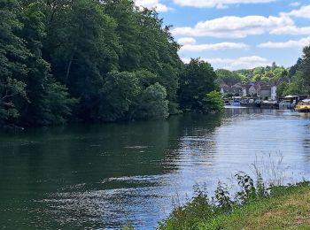 Randonnée Marche Samois-sur-Seine - T- Samois - Photo