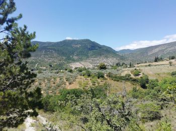 Tour Wandern Rémuzat - GRP Baronnies Rémuzat Villeperdrix 14km  - Photo