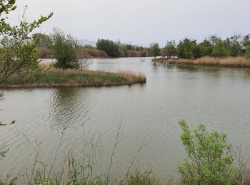 Randonnée Marche Sant Pere Pescador - San Pere Pescador - Photo
