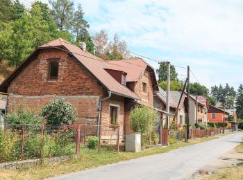 Percorso A piedi Skuteč - NS Žulová stezka - Photo