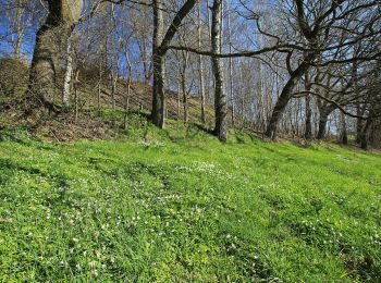 Excursión A pie Zwönitz - Zwönitz - Dorfchemnitz - Thalheim - Photo