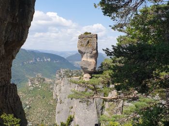 Excursión Senderismo Saint-Pierre-des-Tripiers - Jonte Corniches du Mejean - Photo