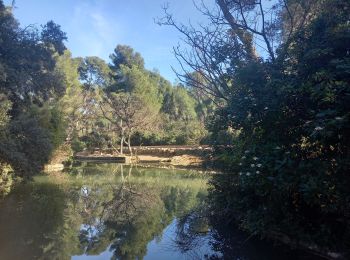 Tour Wandern Marseille - Pastre - Marseilleveyre 11.2.23  - Photo