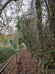Randonnée Marche Wanze - A la découverte de Huccorgne avec Koda 🥾🐕 - Photo