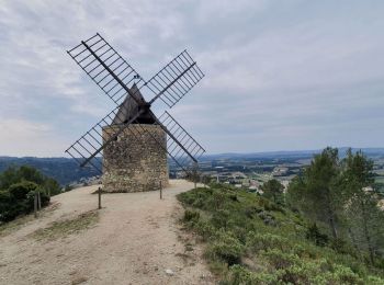 Excursión Senderismo Tarascon - SityTrail - Frigolet, Moulin  Bonnet, Boulbon;  21 03 2022 - Photo