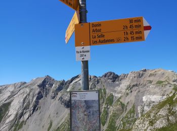 Tocht Noords wandelen Arbaz - 27.07.20 Pas de Maimbré  - Photo