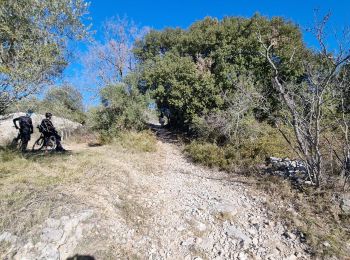 Excursión Bici de montaña Saint-Georges-d'Orques - Une belle boucle autour de Saint-Georges-d'Orques - 35955 - UtagawaVTT.com - Photo