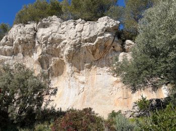 Excursión Senderismo Sanary-sur-Mer - Le Gros Cerveau par la Roche Crurade - Photo