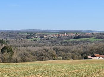 Trail Walking Gézoncourt - Gezoncourt - Photo