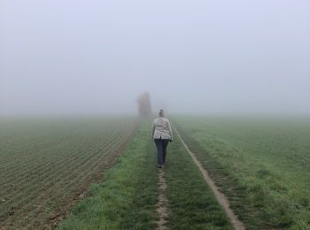 Trail Walking Feucherolles - Feucherolles  - Photo