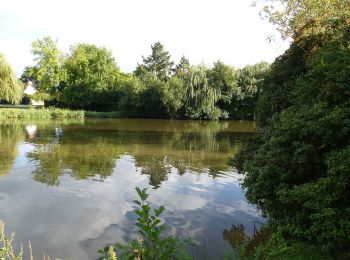 Excursión A pie Nort-sur-Erdre - Les Marais de Blanche Noë - Photo