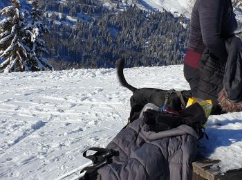 Excursión Esquí de fondo Combloux - Combloux Le Perthuis par la piste