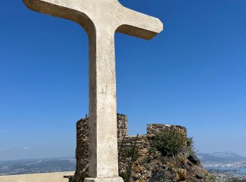 Percorso Marcia Six-Fours-les-Plages - Le sentier du littoral  - Photo