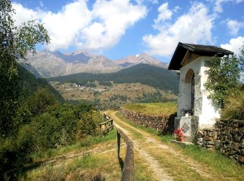 Tour Zu Fuß Rabbi - Sentiero di Passo Cercen - Photo