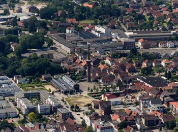 Tocht Te voet Lengerich - Von Niederwald und Kalkgestein - Photo