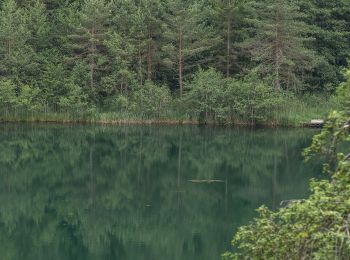 Excursión A pie Keutschach am See - 4-Seenweg Keutschach - Photo