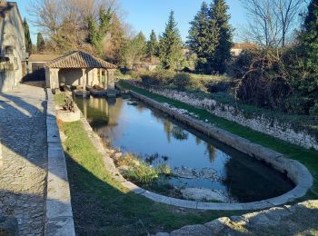 Tocht Stappen Lirac - rando des 4 lavoirs  - Photo