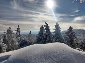 Randonnée Marche Oberhaslach - 2023-01-29 Marche Nideck Schneeberg Umwurf - Photo