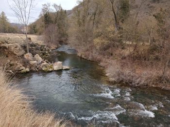 Randonnée Marche Saint-Rome-de-Cernon - St Rome-sur-Cernon- Roquefort-sur-Soulzon - Photo