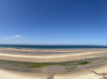 Tocht Stappen Witzand - Les caps blanc nez: le petit et le grand - Photo