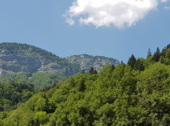 Tour Wandern La Balme-de-Thuy - Passage de la Bourse-Ablon-La Rosière - Photo