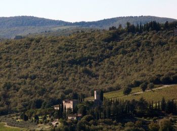 Tour Zu Fuß Gaiole in Chianti - Trekking tra i castelli 4 - Photo