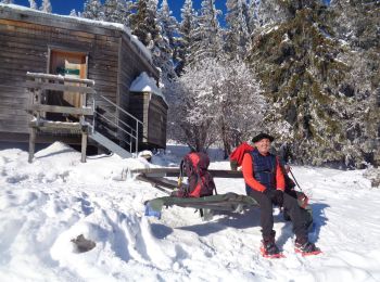 Percorso Racchette da neve Vassieux-en-Vercors - vassieux col - Photo