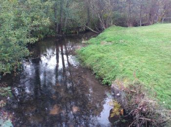 Randonnée A pied Weilbach - Parkplatzrundwanderweg Weilbach Hallenwald 3 : Vorderhallweg - Photo