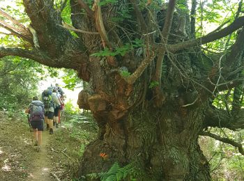 Randonnée Marche Ota - Ota Mariniana - Photo