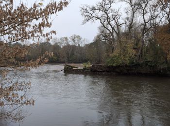 Randonnée Marche Civray-de-Touraine - Civray-de-Touraine - Zig Zag Chenonceaux Chisseaux - 26.2km 380m 6h10 (40mn) - 2024 11 16 - Photo