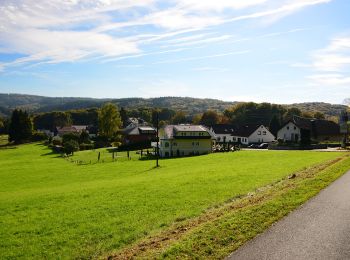 Trail On foot Eitorf - Dörferweg (Erlebnisweg Sieg Nr. 18) - Photo