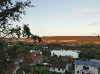 Randonnée Marche Arques-la-Bataille - arques étangs de la varenne - Photo