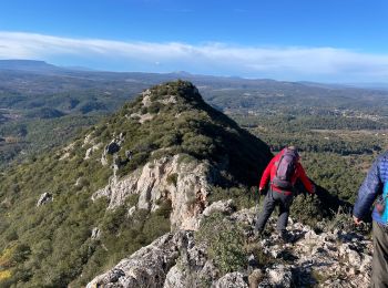 Tocht Stappen Barjols - Barjols - petit Bessillon - Photo