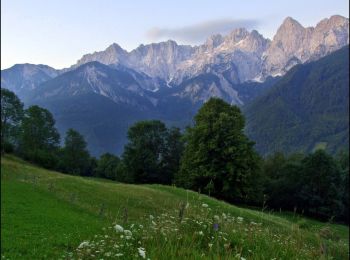 Excursión A pie Kranjska Gora - Čičare to Srednji Vrh 19 - Photo