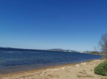 Percorso Bici da strada Le Lavandou - lavandou miramar salins - Photo