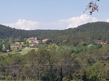 Tocht Stappen Flayosc - Château de BERNE Flayosc - Photo