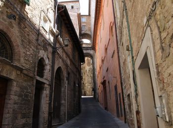 Percorso A piedi Valfabbrica - Via di Francesco - Tappa 10A variante Perugia - Valfabbrica-Perugia - Photo