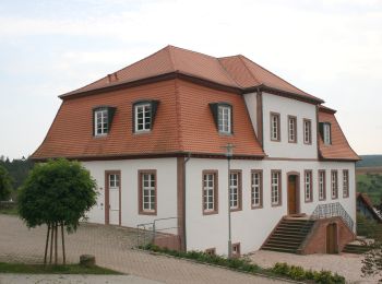 Percorso A piedi Lützelbach - Rundwanderweg Lützelbach Rimhorner Stock 2: Breitenbach-Weg - Photo