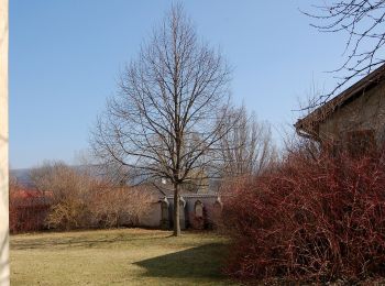 Tour Zu Fuß Lanzenkirchen - Rosental Runde (Lanzenkirchen) - Photo