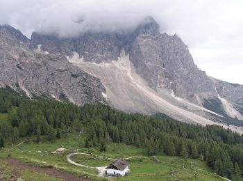 Tocht Te voet Borca di Cadore - IT-467 - Photo