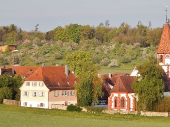 Tour Zu Fuß Bad Liebenzell - Schneckenweg - Photo