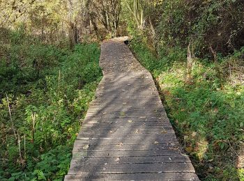 Tocht Stappen Heers - Klein-Gelmen - Photo