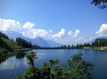 Tocht Te voet Glarus Süd - Chärpfbrugg Rundweg - Photo