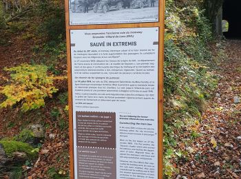 Randonnée Marche Seyssins - Boucle  voies du Tram 1 - Photo