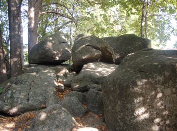 Tour Zu Fuß Przesieka - Przesieka - Sosnówka Dolna - Photo